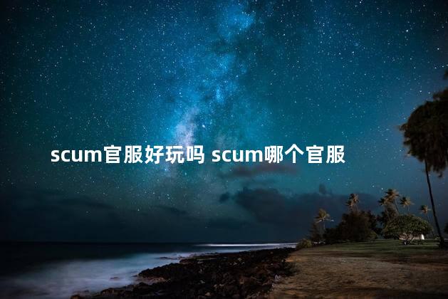 scum官服好玩吗 scum哪个官服比较好